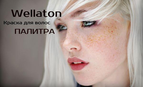 palitra-wellaton